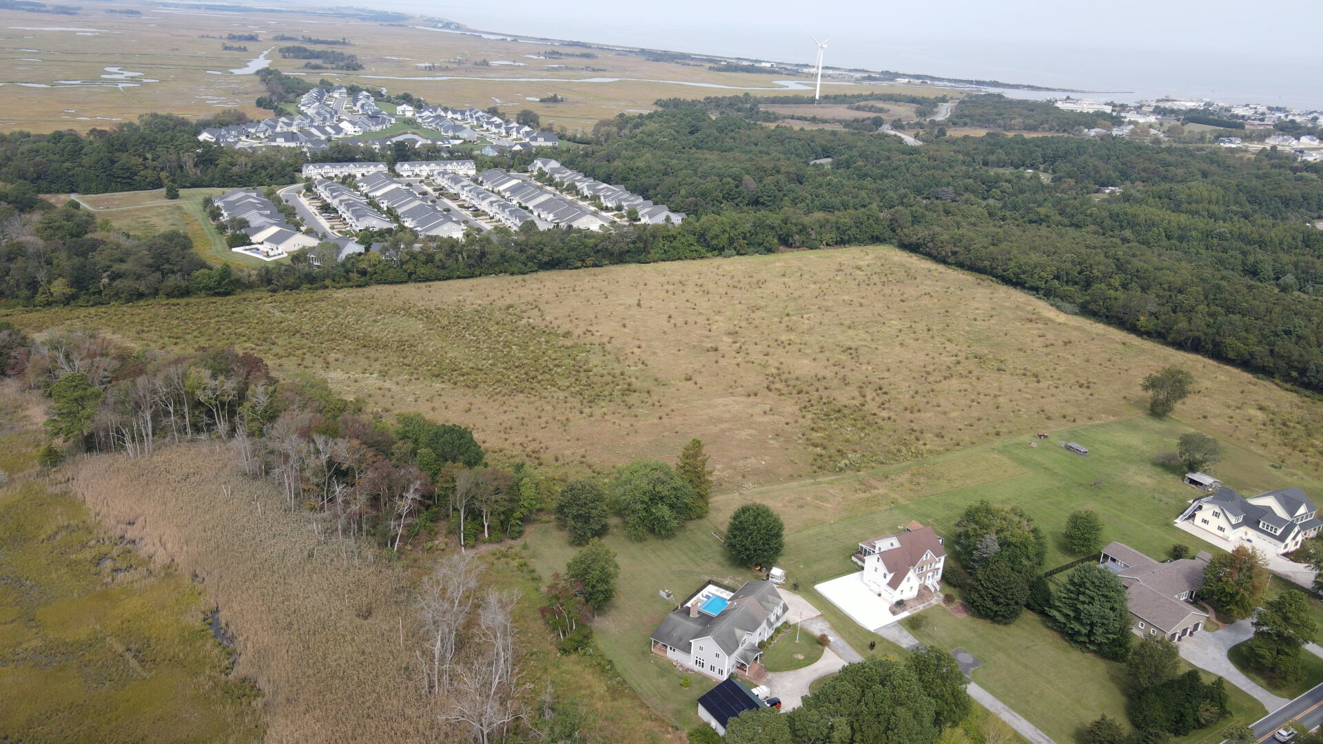 Lewes considers reforesting 20 acres along New Road to boost resiliency